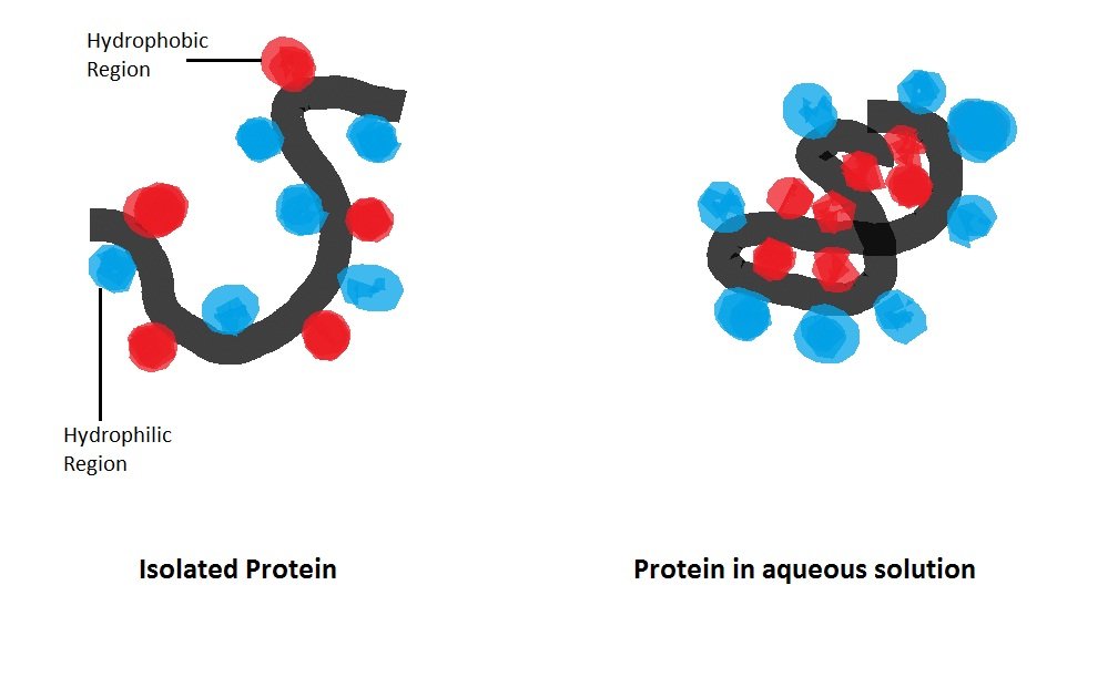 Choosing the Best​ Lean Protein Sources for Muscle Building and Health Benefits