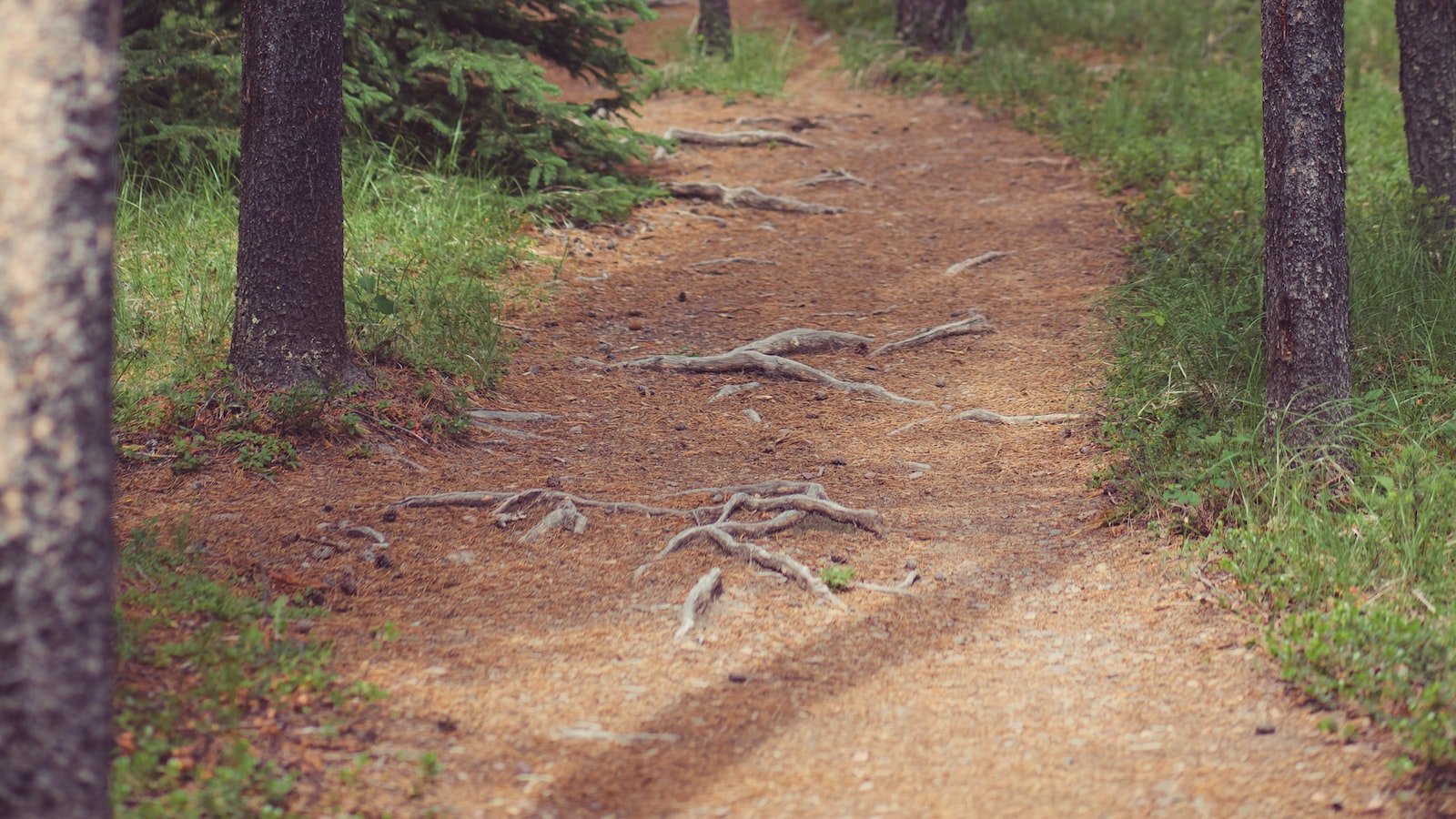 Choosing the Right Jump Rope and‍ Proper Technique